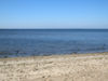 Dags för strandstädning