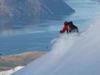 Vertical Way Around: The Movie