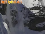Free Radicals 2001: A ski odyssey