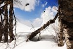 Freeride-helgen i bild och film