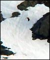 Stryn Freeline Jam Film