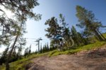 Sälen och Åre Bike Park öppnar