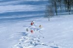 Les 2 Alpes investerar