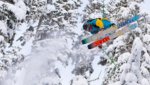 Moment Skis till Sverige