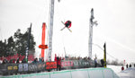 Brown och Rolland – vinnare av Dew Tour 2011