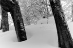 Världstouren på besök i ett snöigt Kirkwood