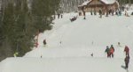 Många parkåkare skippar hjälm