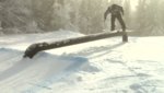 Fredagsfilmer: Vecka 10