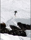 Freeline Jam 2005
