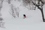 Säsongsblogg: Hakuba Matata