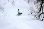 Det dumpar i den svenska fjällvärlden