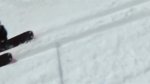 Trailer: Freeski-crew – Stammtisch