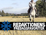 Fredagsfilmer: Vecka 45 (eh.. lördagsfilmer)
