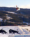 Kangaroo Flip avgjorde Invitational