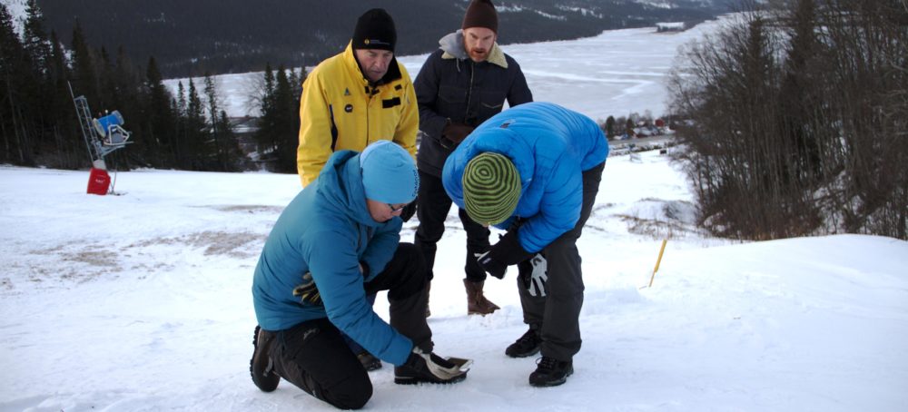 www.freeride.se
