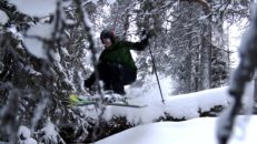 Japanföre i Vemdalen
