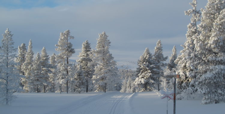 Längdskidåkningen är nummer ett i Grövelsjön men de har även en liten backe för utförsåkning. 