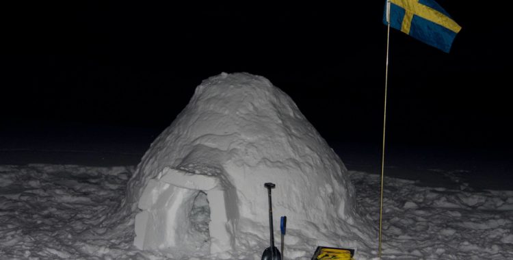 Mer “freeride” än vår iglootur går knappt att få. Vi bygger våra egna snöhotell precis där vi vill ha dem, när vi vill, och är helt oberoende av omvärlden