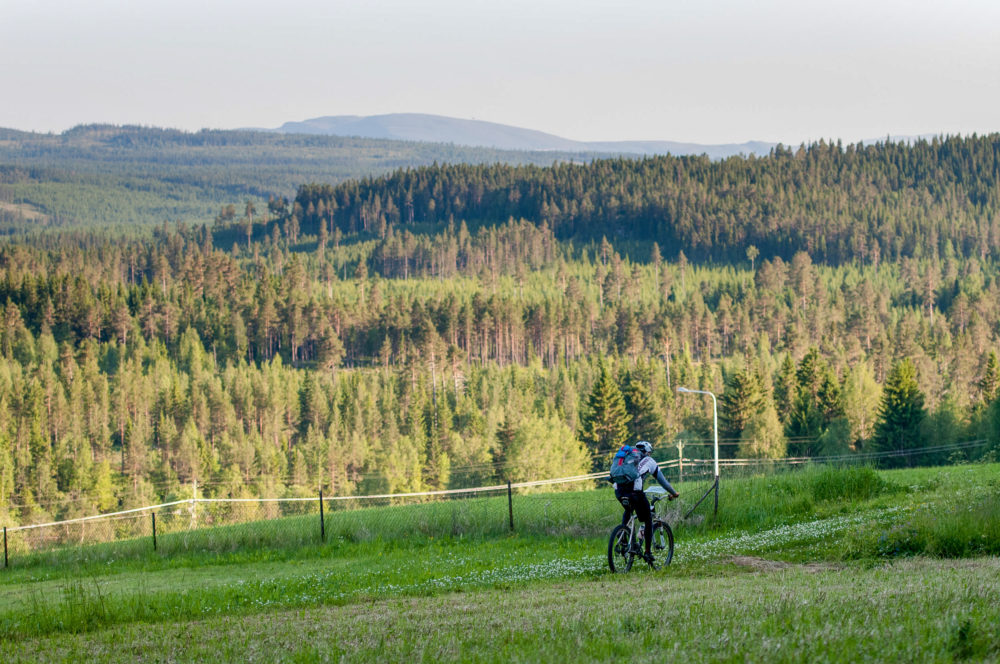 www.freeride.se