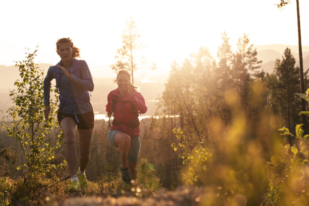 www.freeride.se