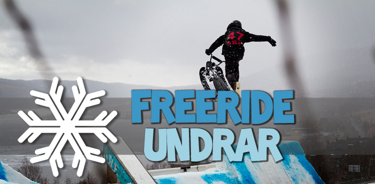 www.freeride.se