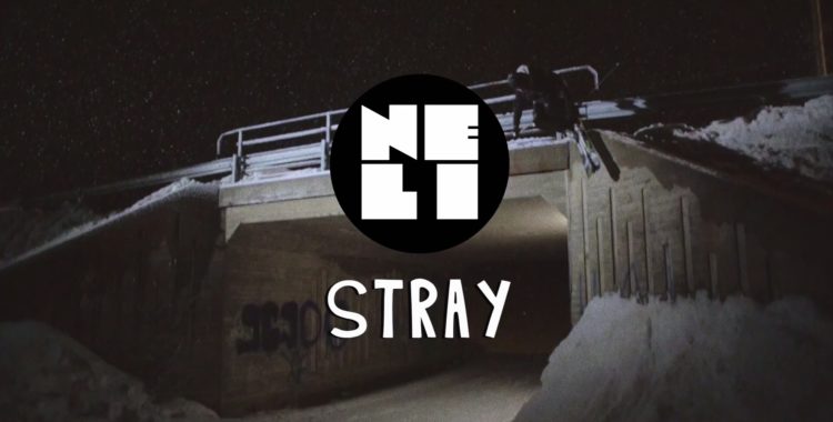 Stray