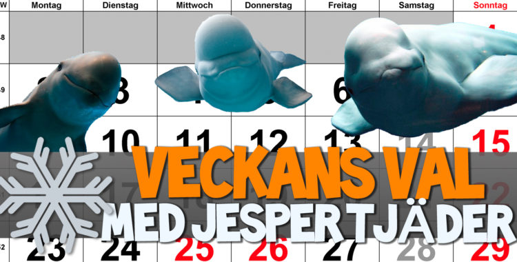 Jesper Tjäder väljer ut sina guldkorn från skidfilmernas bakgård
