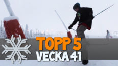 Topp 5: Vecka 41
