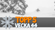 Topp 5: Vecka 44