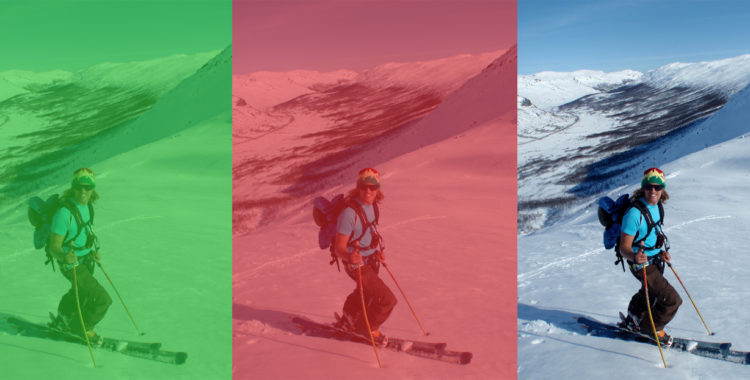 Lima-ko är veckans Freeridemedlem
