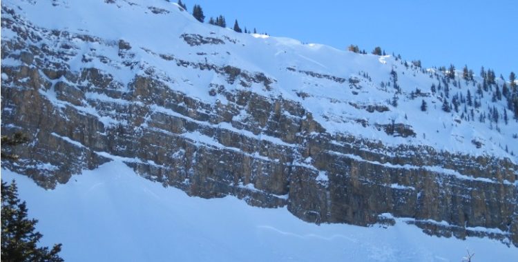 Klassiska Aussie drop i Jackson Hole