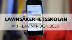 Lavinsäkerhetsskolan avsnitt 11: Lavinprognoser