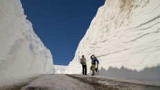 16 meter snö i Fonna