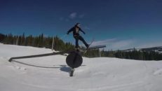 Norskt parkös