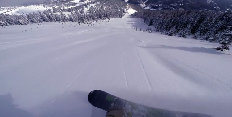 Pudersuget!