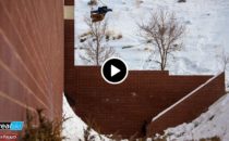 X Games Real Ski – Alla Bidrag