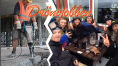 Drömjobben: Manager
