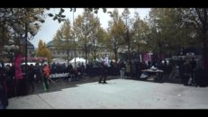 Video: Winter Show 2016