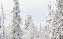 facebook.com/vemdalen