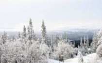 Här är det redan vinter i Sverige