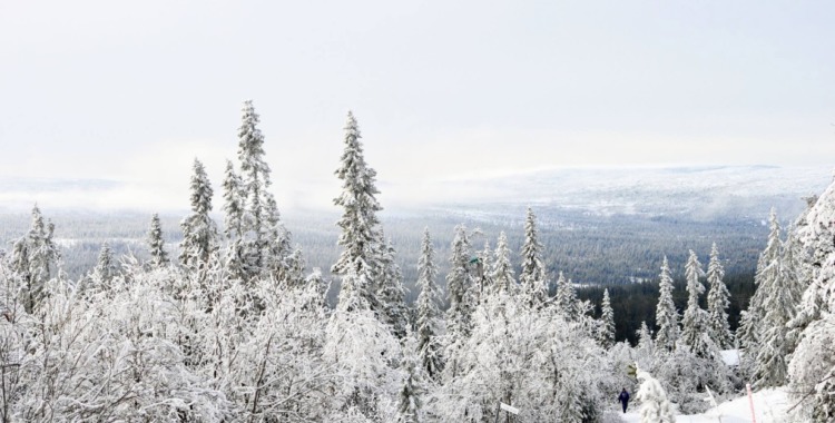 I Vemdalen är det redan vitt