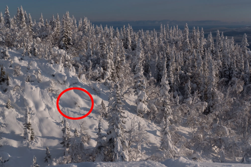 www.freeride.se