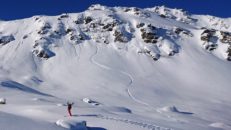 Rehabpepp – att växa som en chili