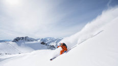 Offpist & toppturer på Freeride