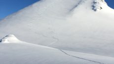 Mattias Skantz