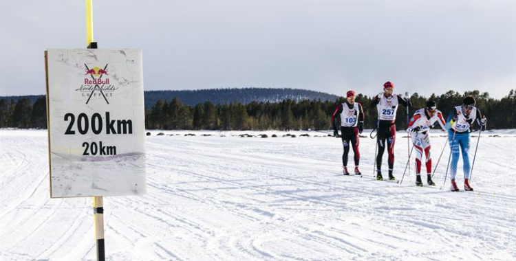 Red Bull Nordenskiöldsloppet är längre än något annat längdskidlopp.