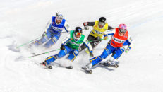 Ledigt Jobb: Tränare i Skicross
