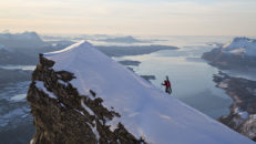 Glomfjord: Topptur bland havsörnar och hälleflundror