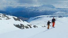 Idiotens guide till Sogndal
