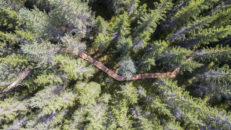 Trysil Bike Arena växer så det knakar